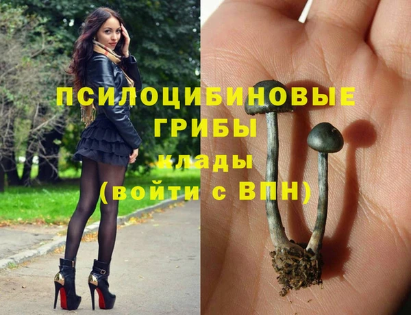 кокаин колумбия Богородицк